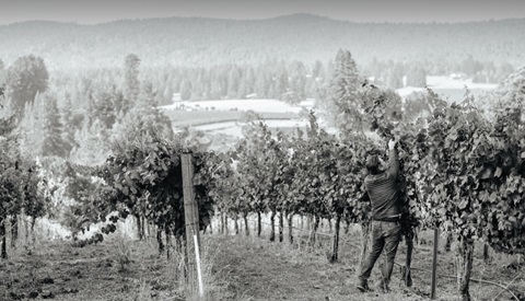 /img/offers/2572/Ceritas card.jpg